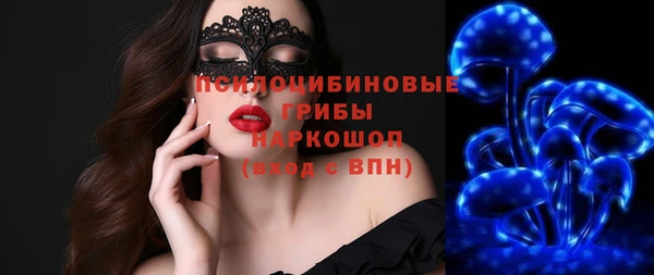 дмт Алексин