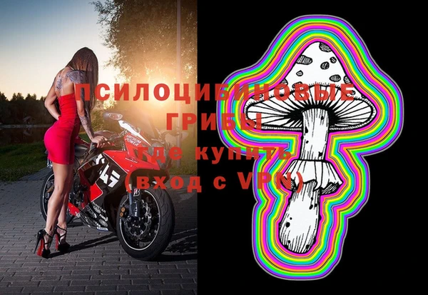 синтетический гашиш Алексеевка